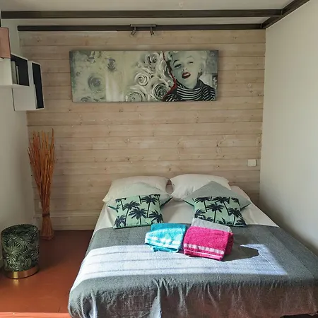 Climatise Avec Mezzanine Au Calme Avec Terrasse Et Parking Idealement Situe Pour Faire A Pied ! 아파트 *